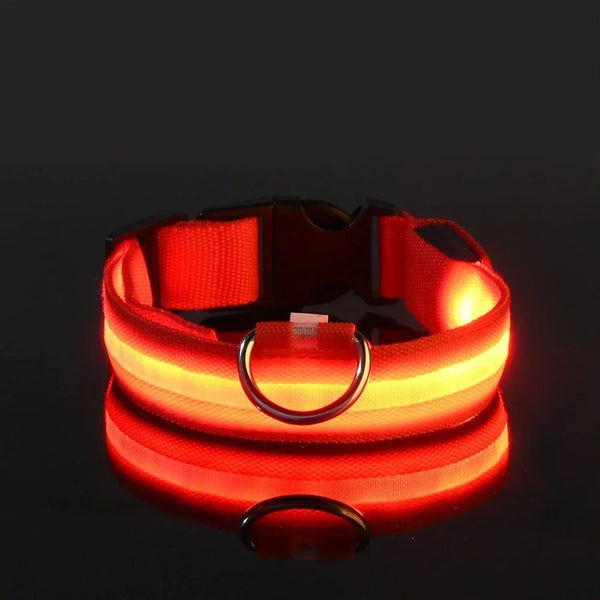 NightLight Collar