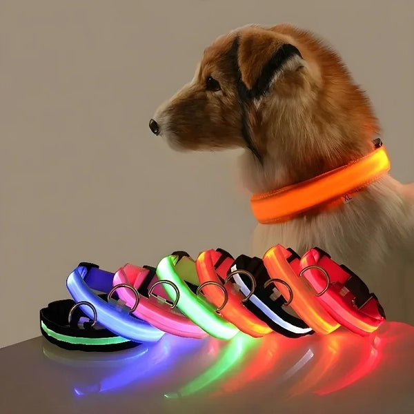 NightLight Collar